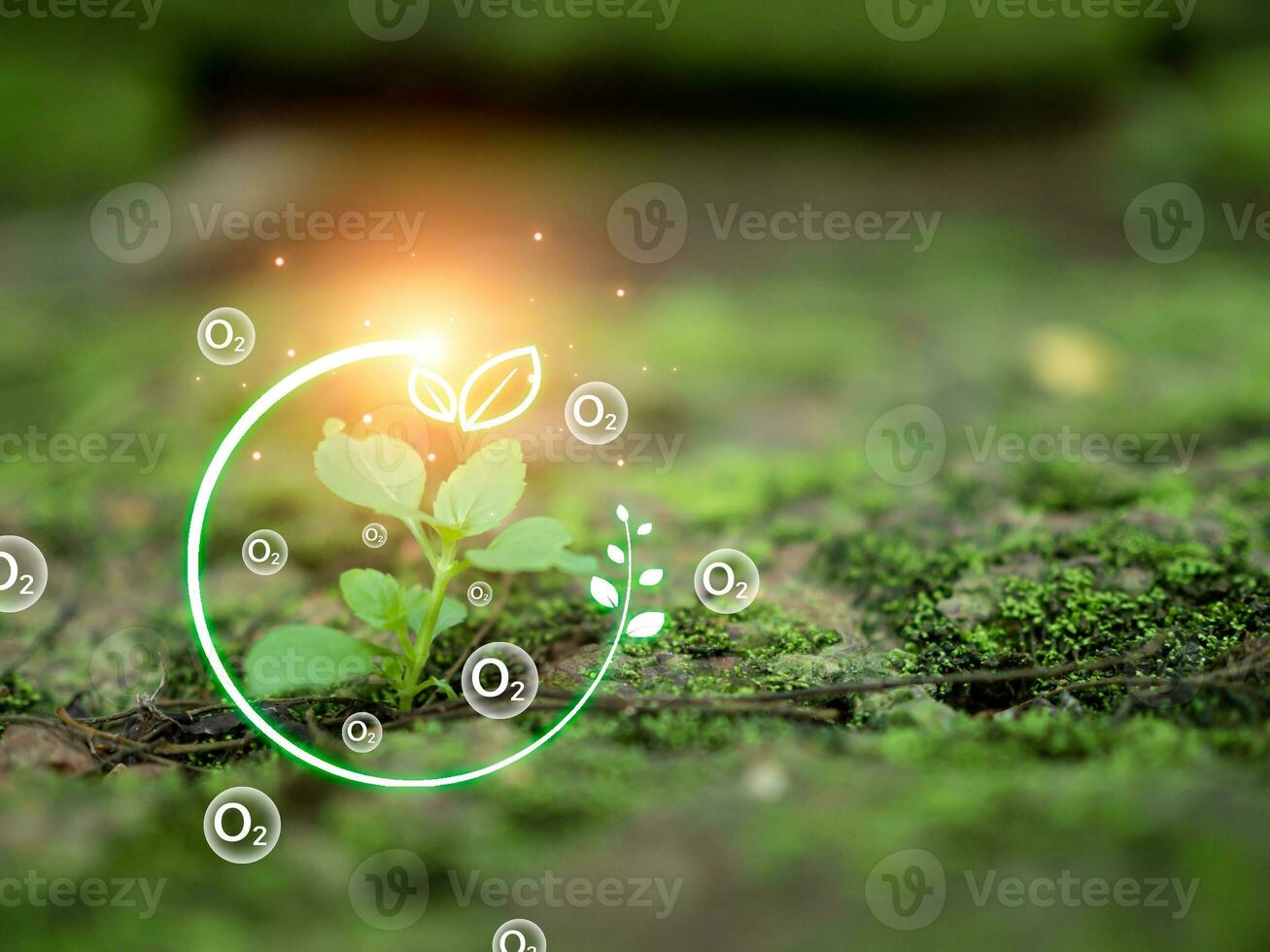 CO2 emission reduction concept, clean and friendly environment without carbon dioxide emissions. Planting trees to reduce CO2 emissions, environmental protection concept. photo