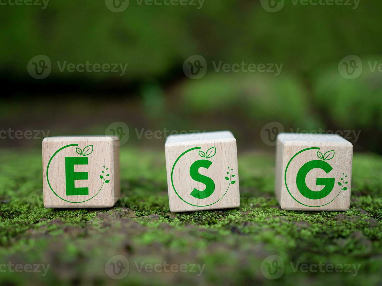 ESG concept for environment, society and governance in sustainable. business responsible environmental. photo