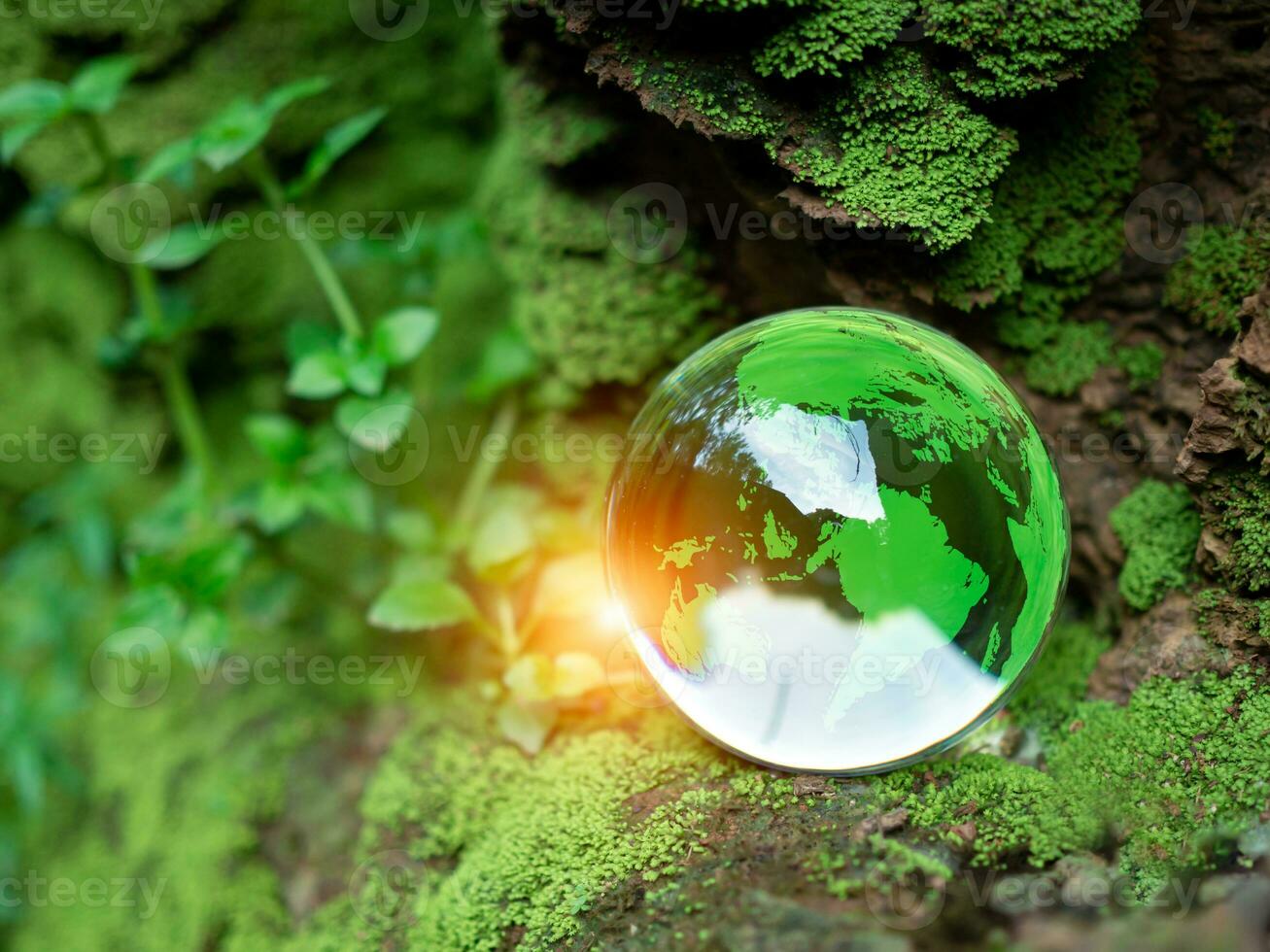 cristal pelota en musgo en verde bosque. ambiente concepto ecología y sostenible ambiente de el mundo. tierra día concepto. foto