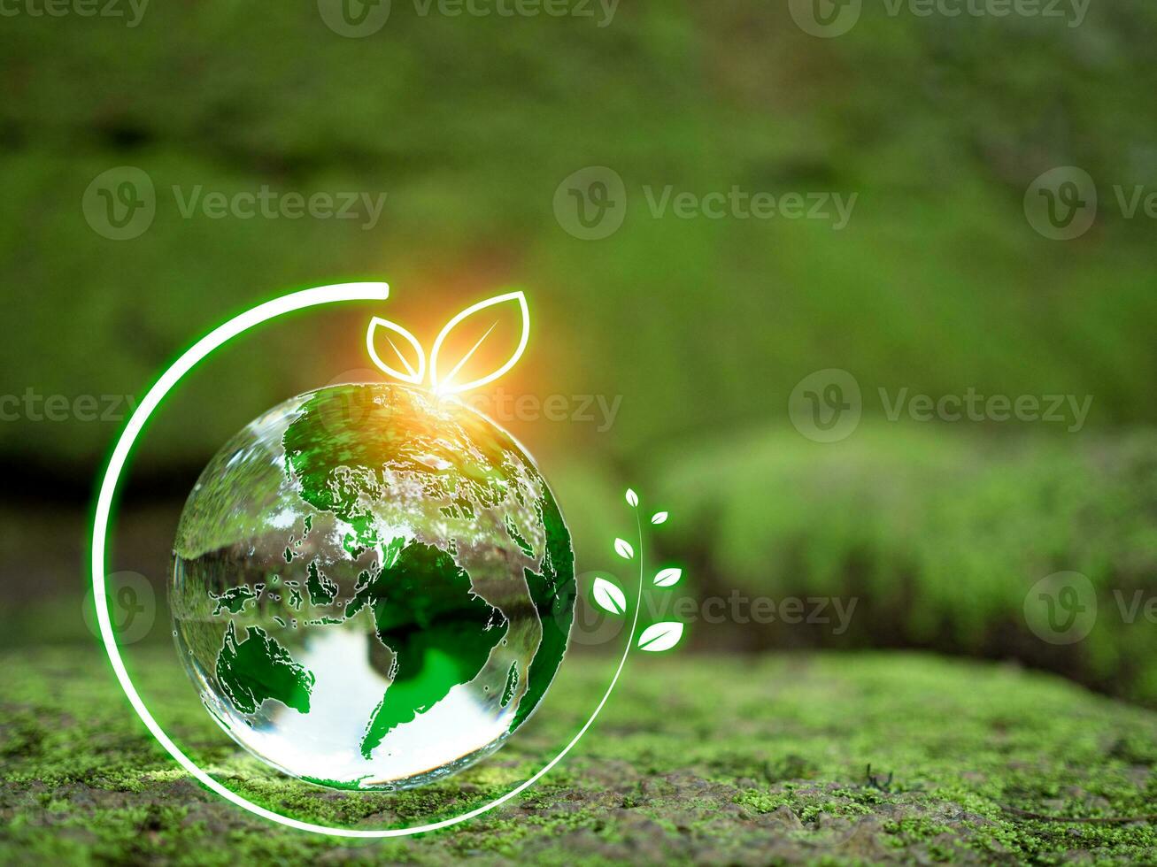 Crystal ball on moss in green forest. Environment concept Ecology and Sustainable Environment of the World. Earth day concept. photo