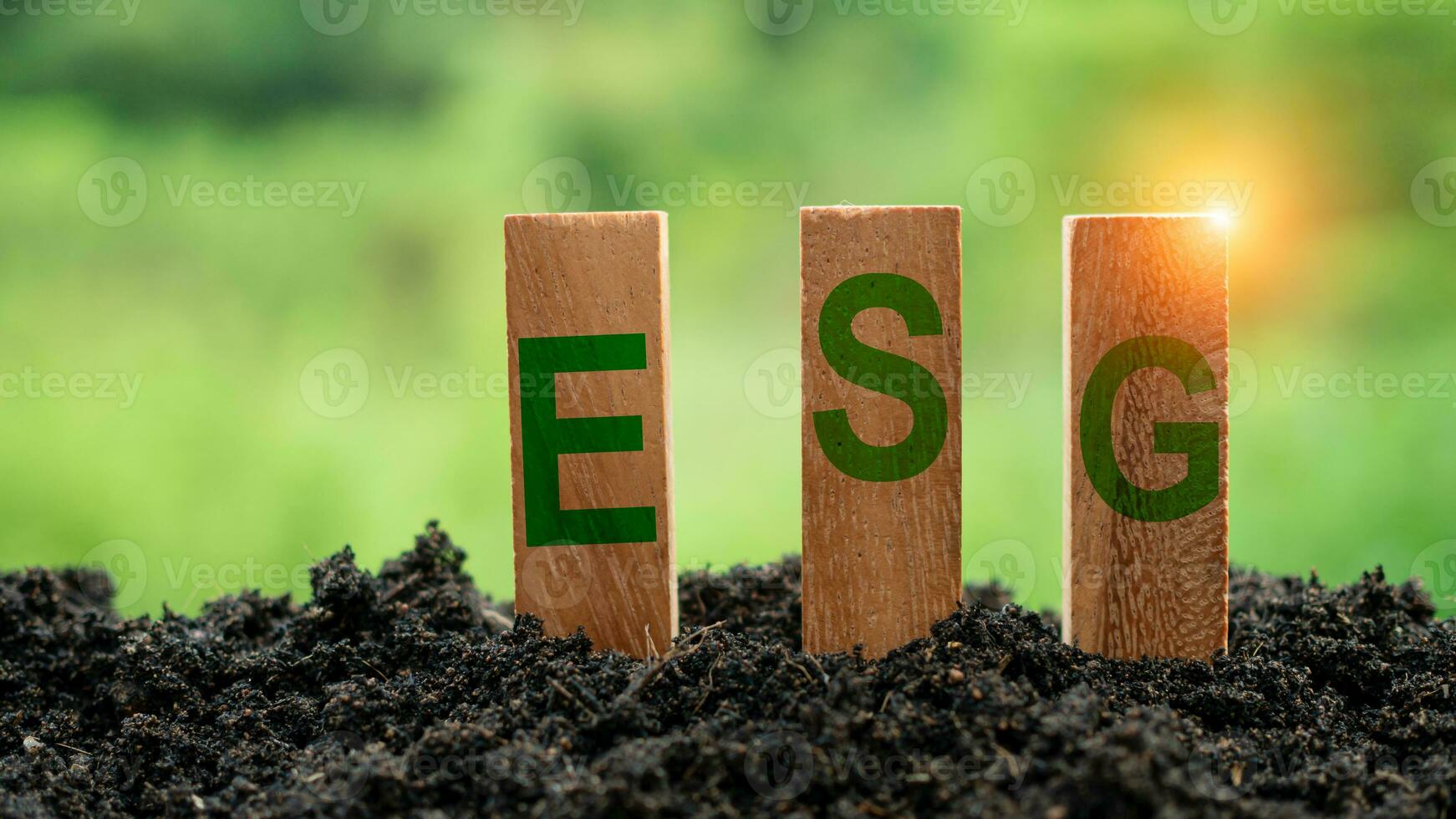 ESG concept for environment, society and governance in sustainable. business responsible environmental. photo