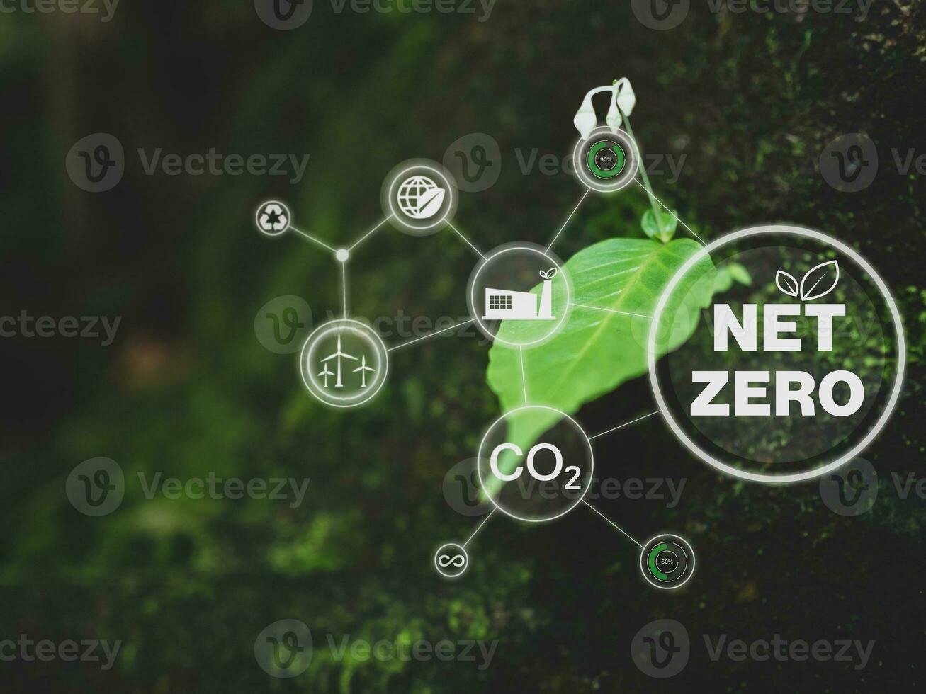 CO2 emission reduction concept, clean and friendly environment without carbon dioxide emissions. Planting trees to reduce CO2 emissions, environmental protection concept. photo