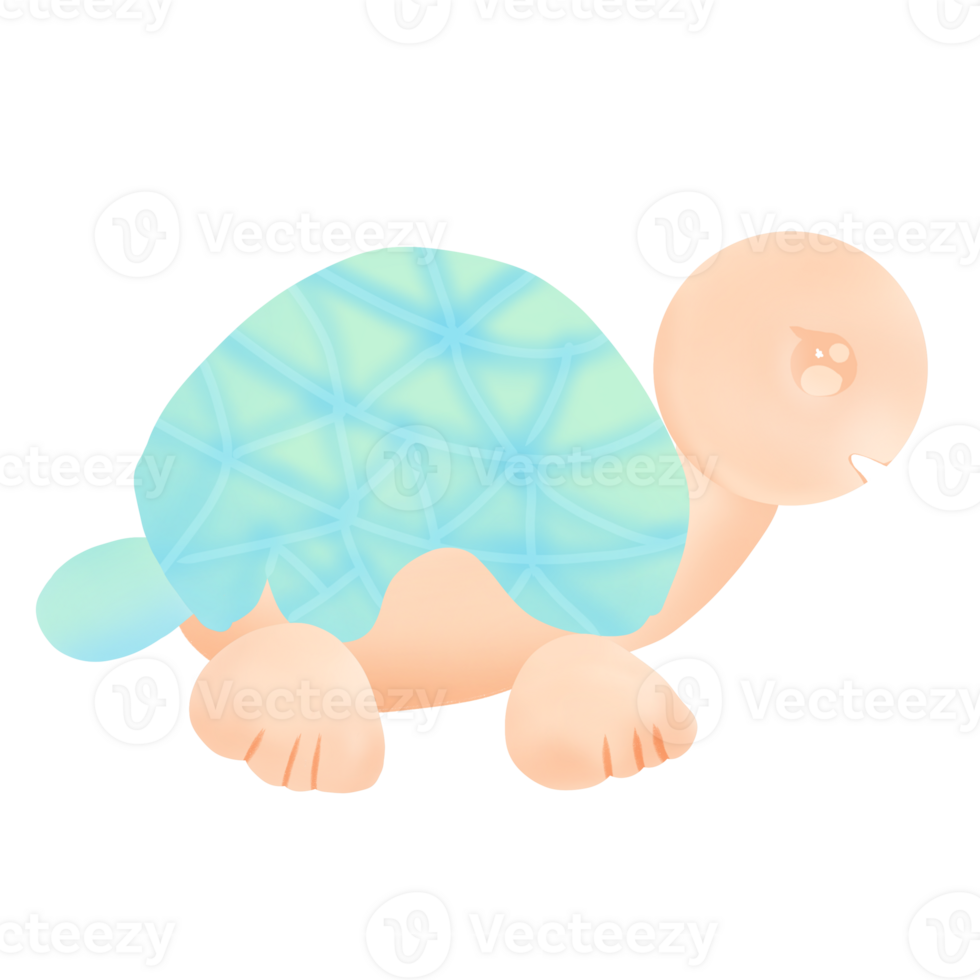 mer animaux tortue png