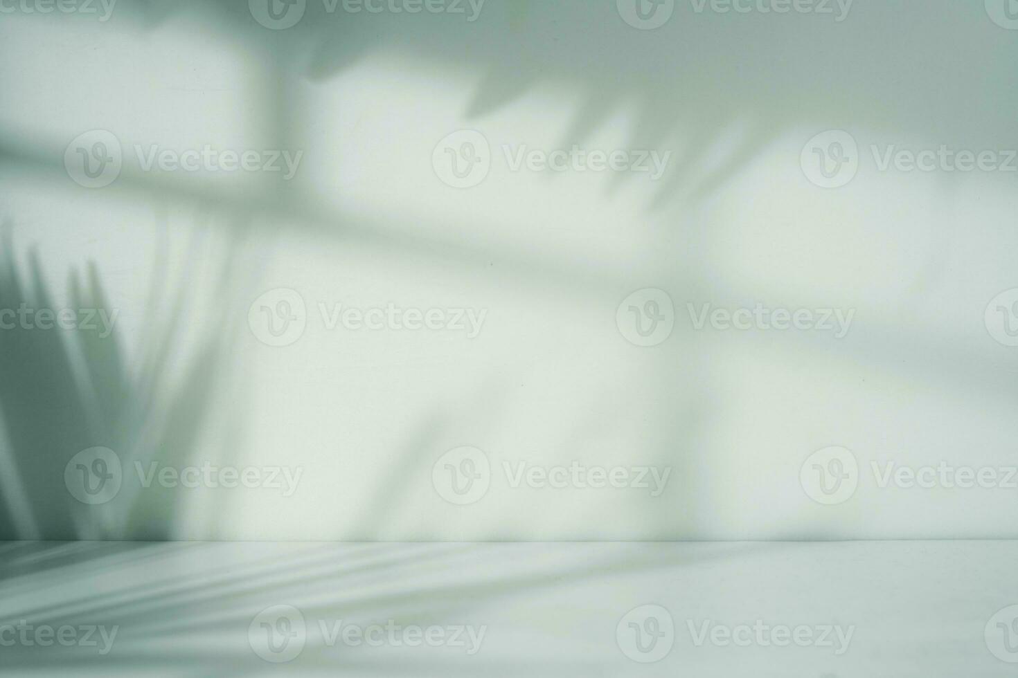 Empty room with blank white wall. Window and nature leaf shadow and floor photo