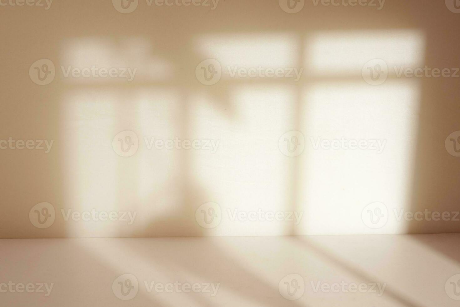 Empty room display with window and floral shadow photo