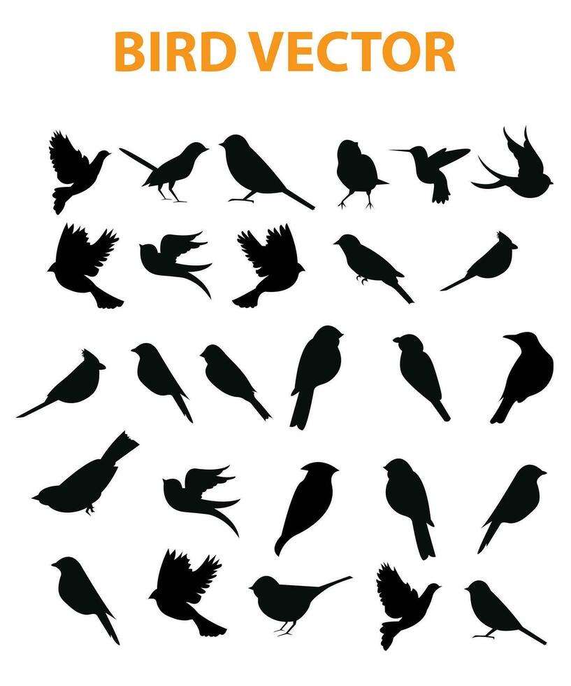 volador pájaro silueta vector