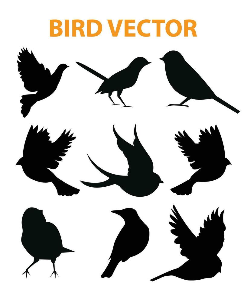 Flying Bird Silhouette Vector