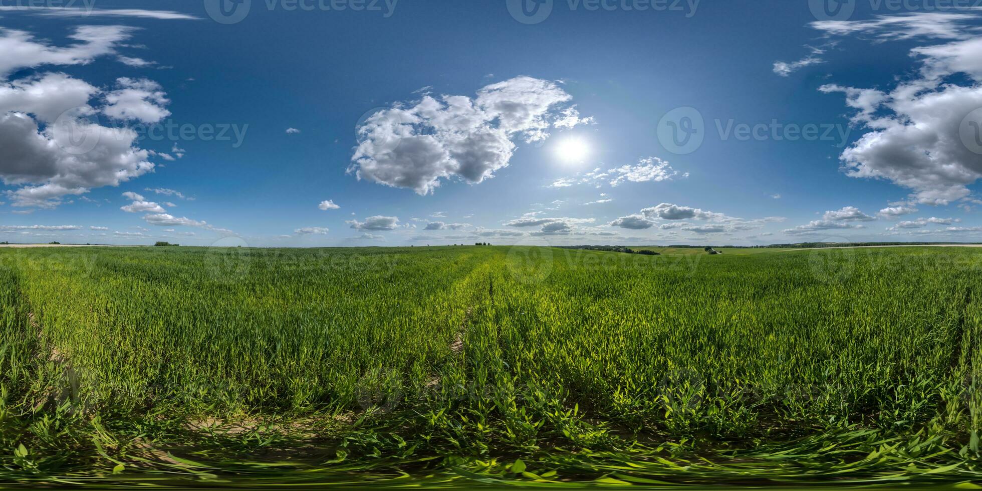 spherical 360 hdri panorama among green grass farming field with clouds on blue sky with sun in equirectangular seamless projection, use as sky replacement, game development as skybox or VR content photo