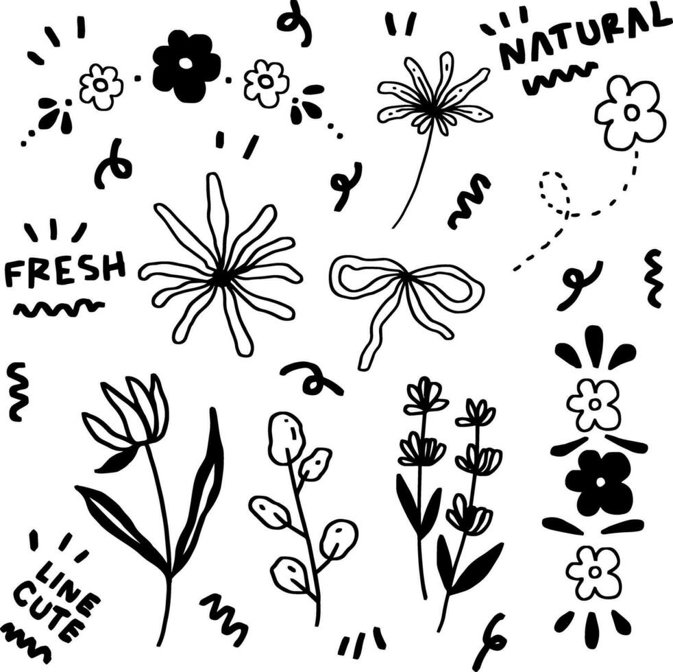hand drawn natural line for templates vector