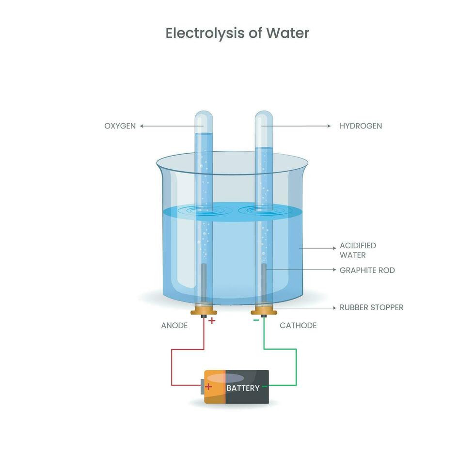 Electrolysis of water, In this process electricity Splits water into hydrogen and oxygen gases vector