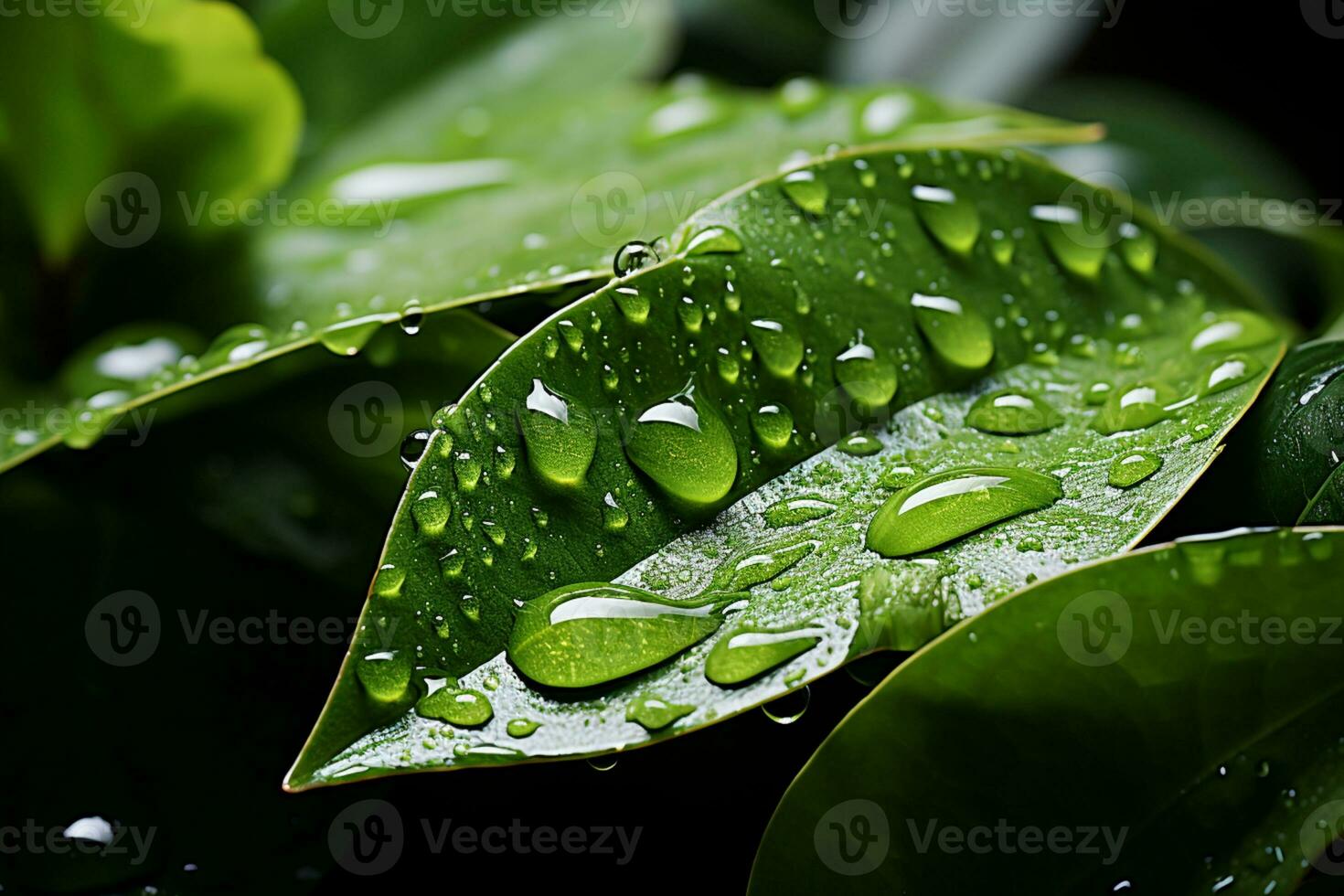 Refreshing sight water drops adorn the lush green plant leaf  AI Generated photo