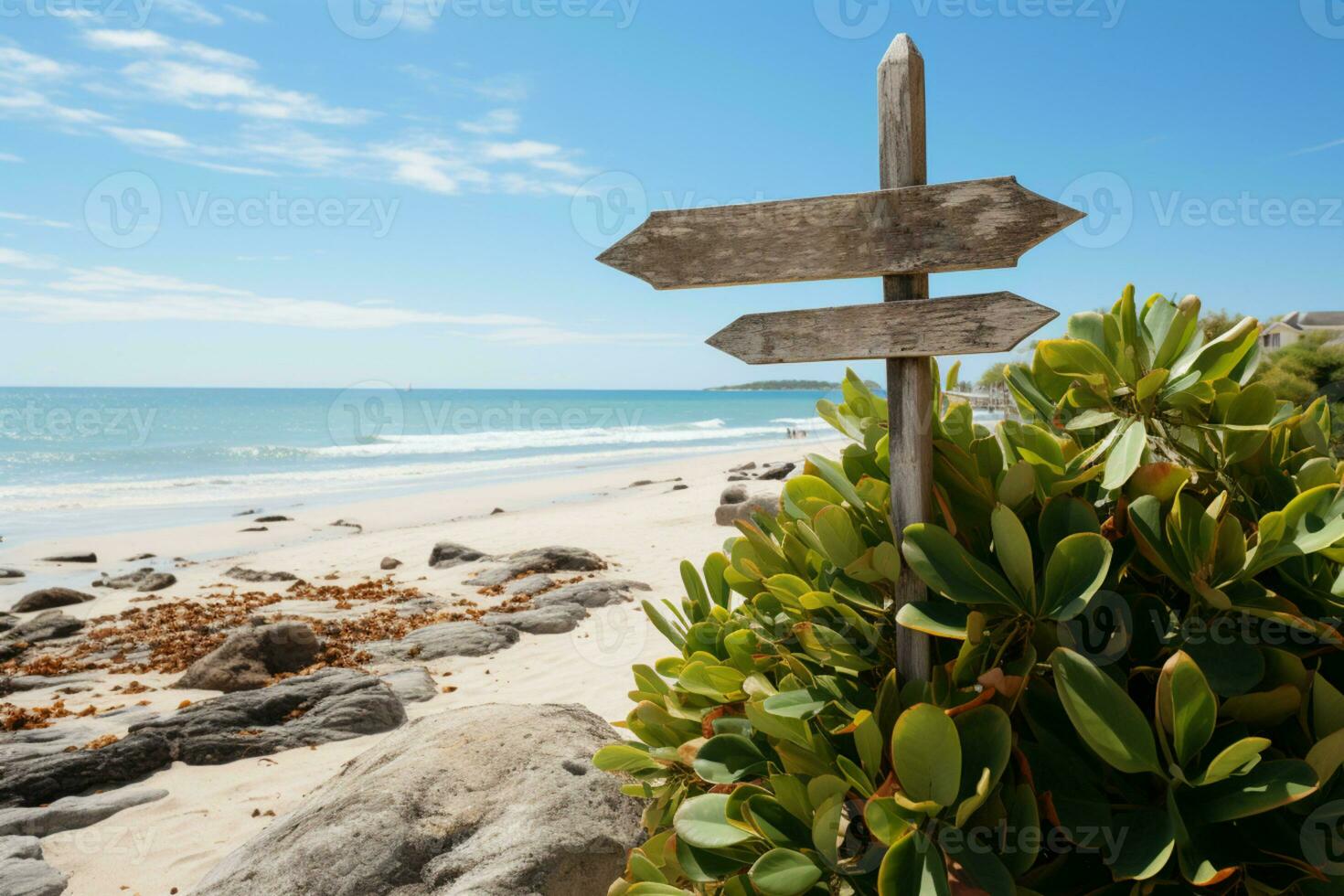 costero señales flecha letrero en medio de playa belleza y lozano planta alrededores ai generado foto