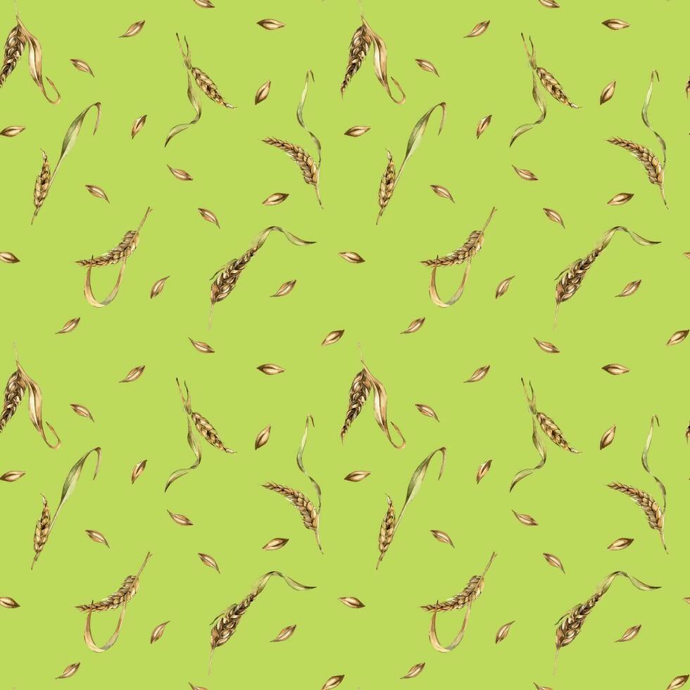 Wheat ear, barley watercolor seamless pattern on green background. Spikelet of rye, malt stalk hand drawn. Design element for textile, wrapping, packaging, label grocery, bakery, paper vector