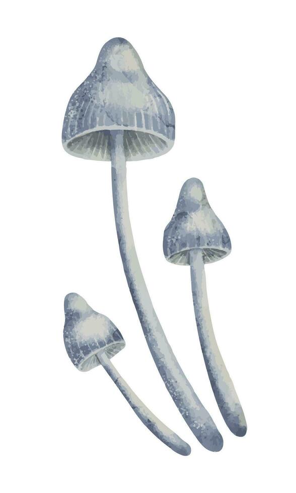 Toadstools on a isolated background. Watercolor illustration of a blue poisonous mushrooms in a magical autumn forest. Hand drawn clipart set. Drawing of ingredients for potions and witches spells vector