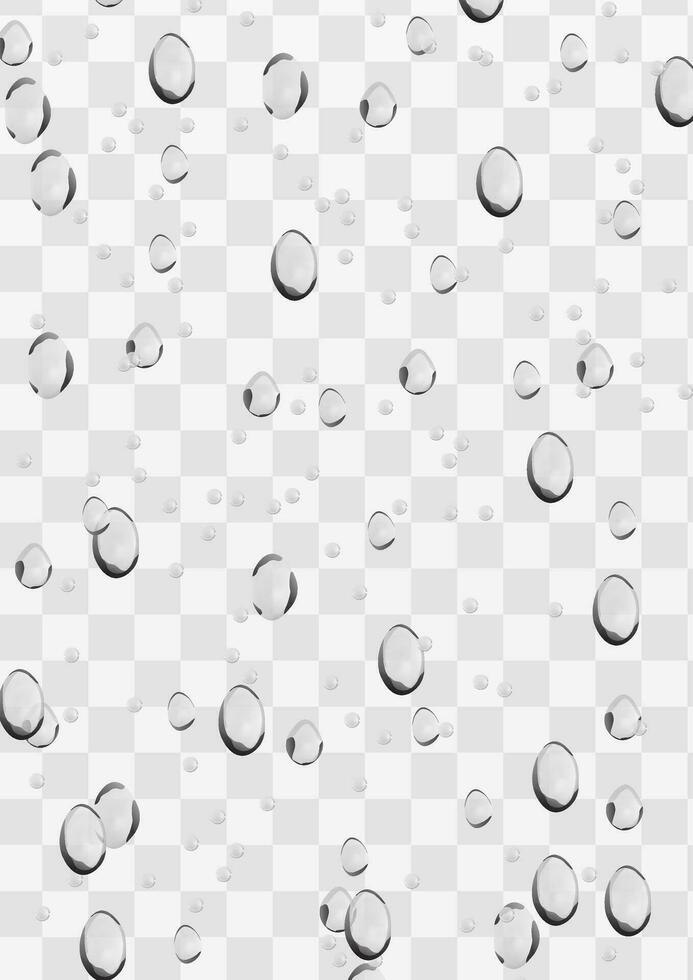 Water droplets condensation drops realistic overlay background vector