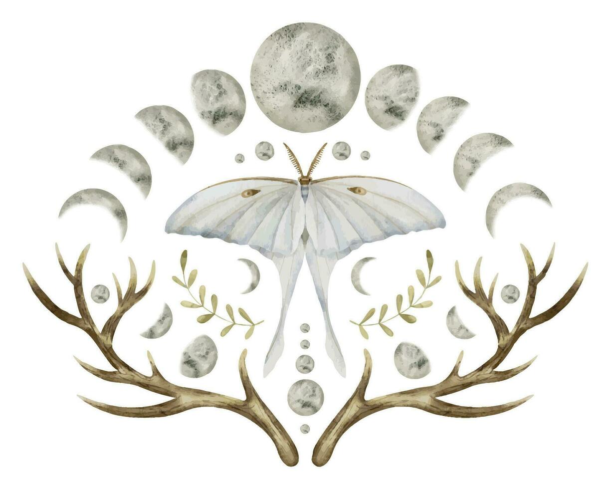 místico luna polilla con Luna etapas. acuarela ilustración de un noche mariposa con blanco alas. mano dibujado clipart conjunto en aislado antecedentes. dibujo de celestial mágico composición para huellas dactilares vector