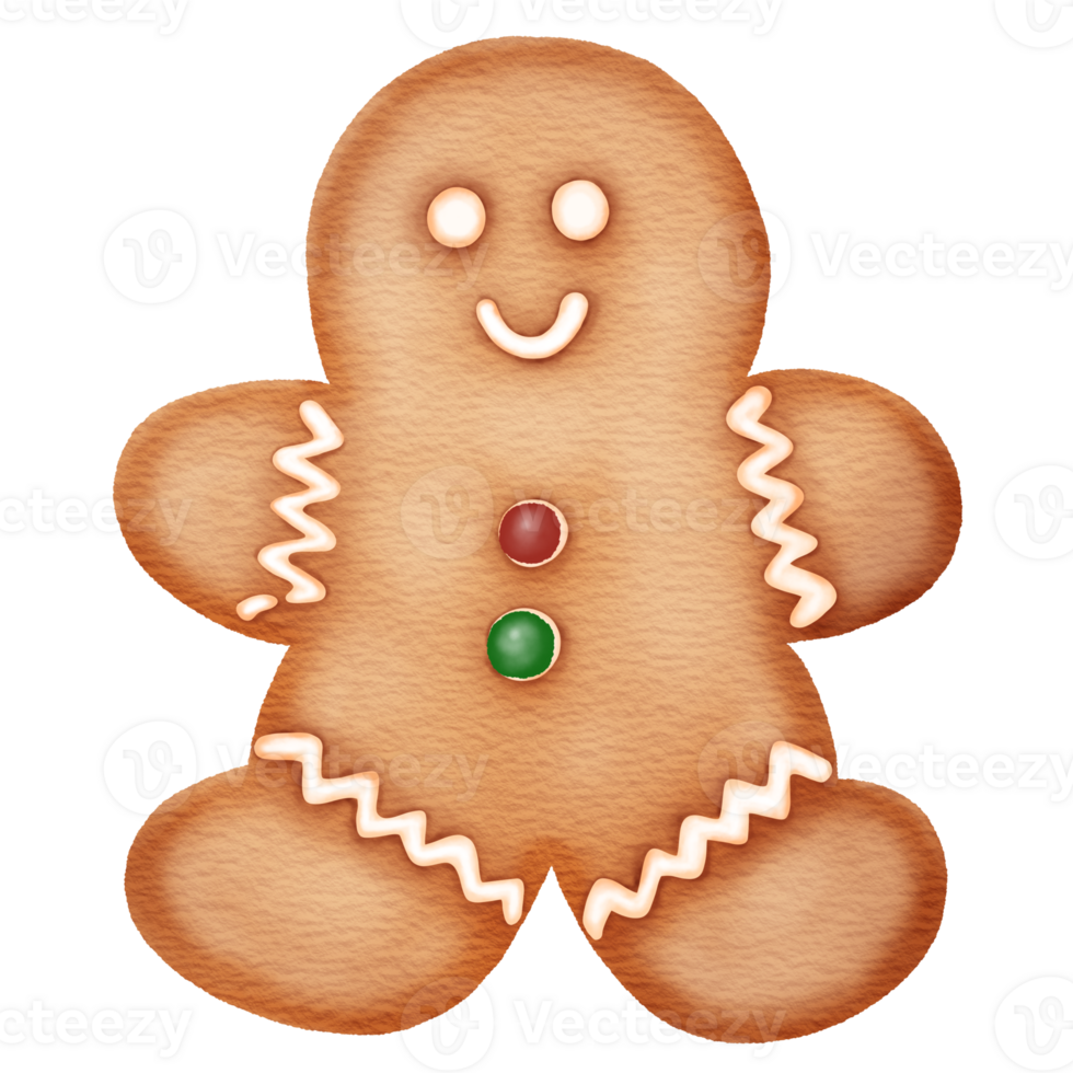 Christmas Gingerbread Cookies png