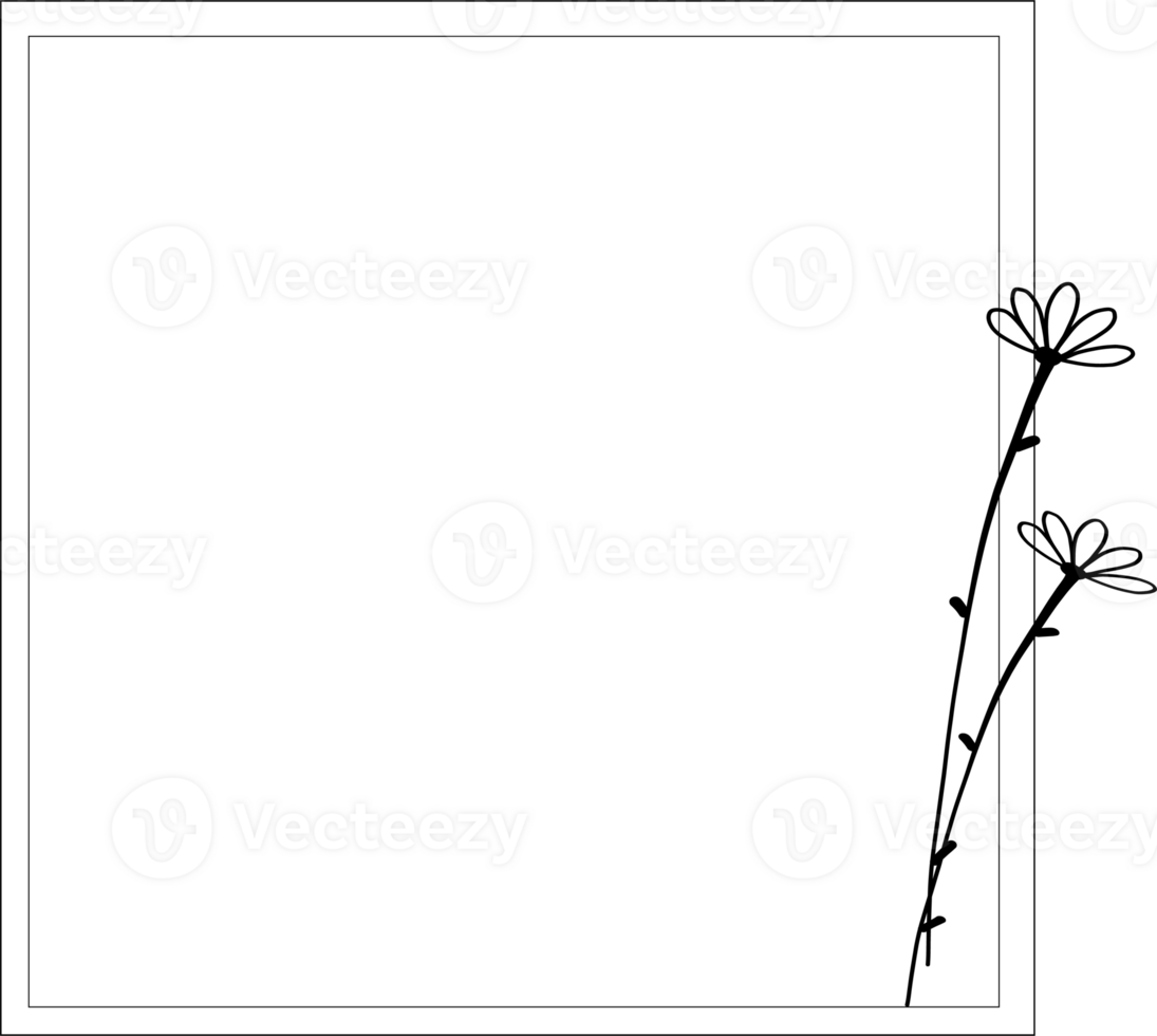 Doodle botanical line art for logo design on transparent background. png