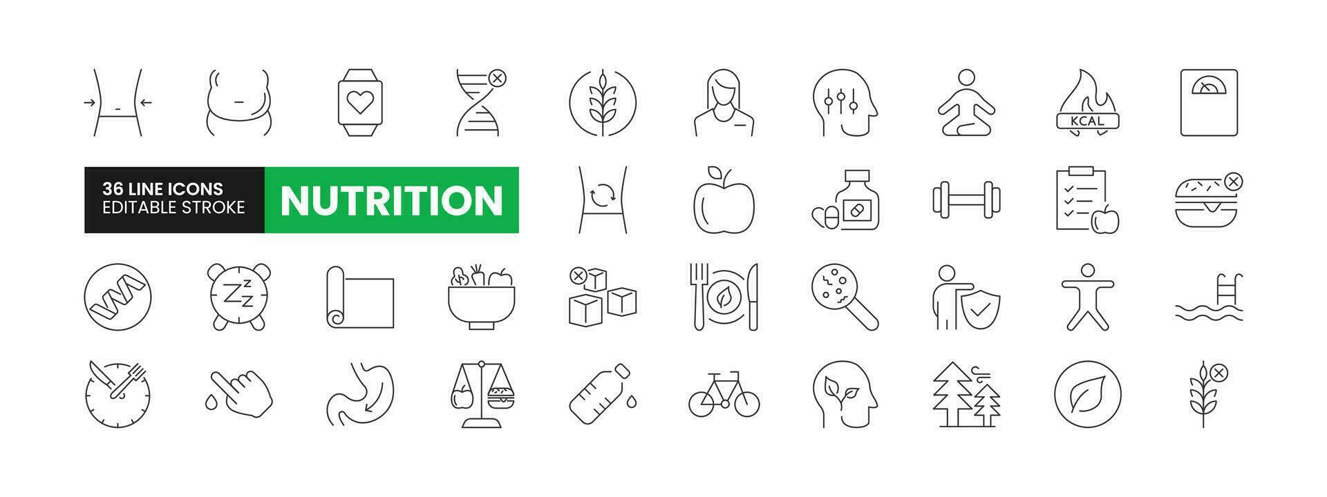 Set of 36 Nutrition line icons set. Nutrition outline icons with editable stroke collection. Includes Proteins, Carbohydrates, Gluten Free, Exercise, Healthy Food, and More. vector