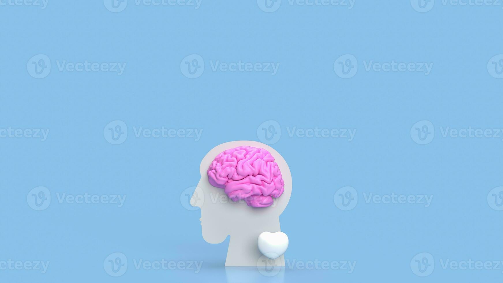 The bust head and brain for sci or medical concept 3d rendering photo