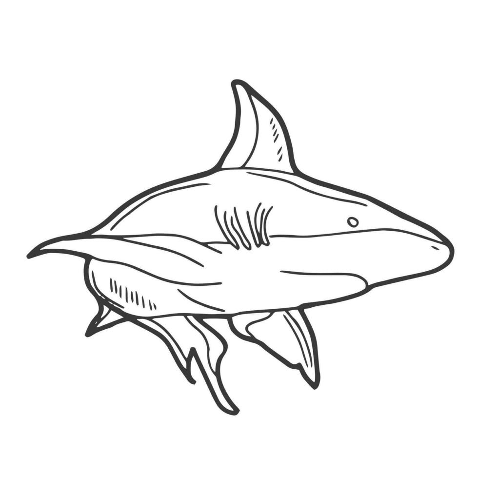 Doodle Shark Icon. Line art in vector format