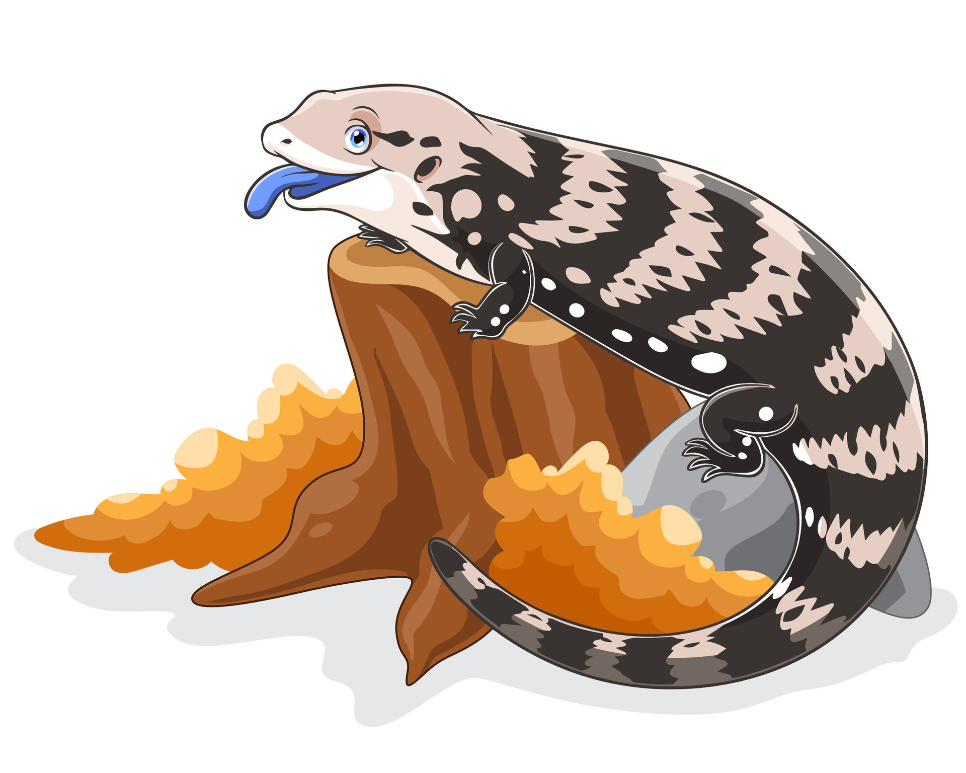 Cartoon Blue Tongue Lizard Isolated On White Background 29330915 Vector Art At Vecteezy cartoon-blue-tongue-lizard-isolated-on-white-background-29330915-vector-art-at-vecteezy