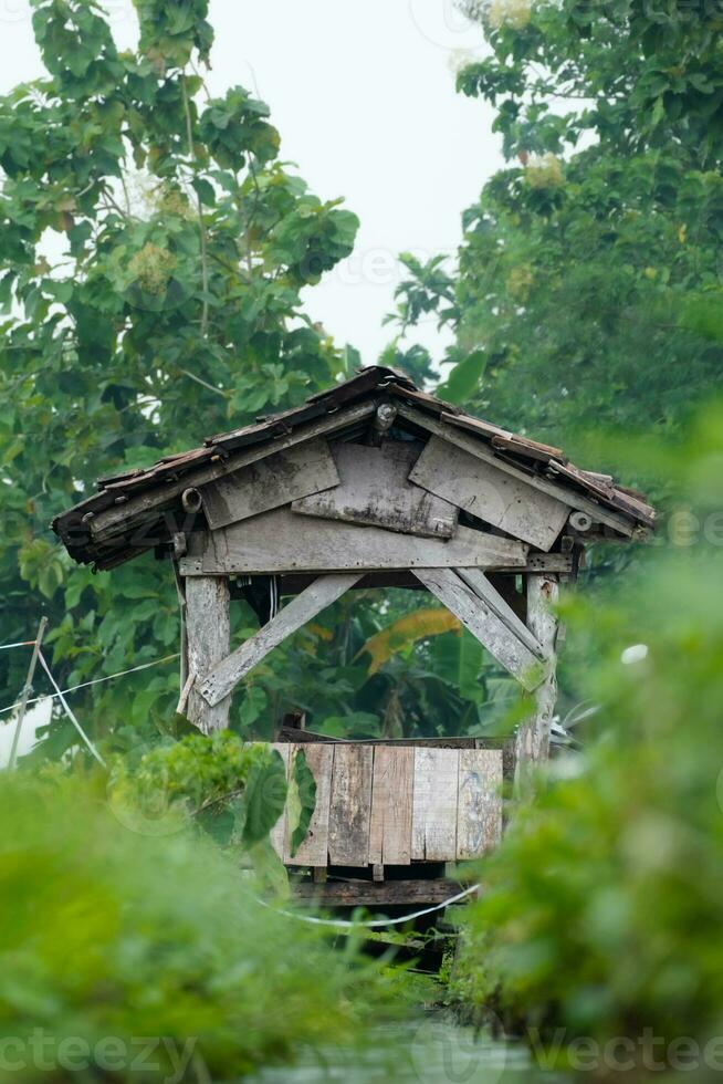 A small hut above a ditch on the edge of a rice field photo