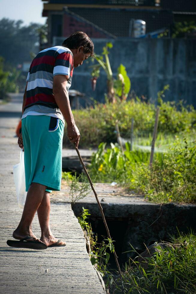 Old man looking for small fish in a ditch with a piece of wood on the edge of a rice field photo