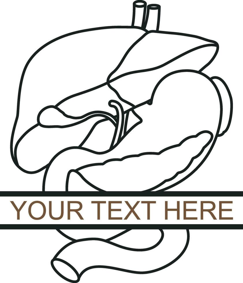Human Liver Anatomy Monogram Vcetor File vector