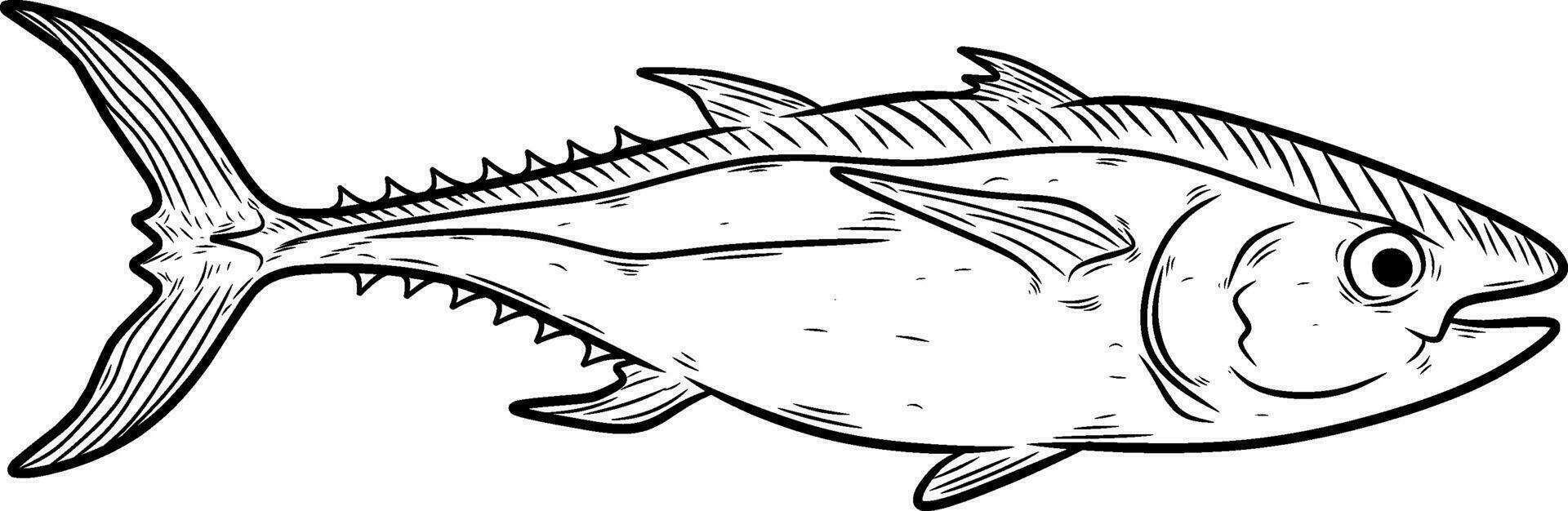sketch of fish isolated on white vector