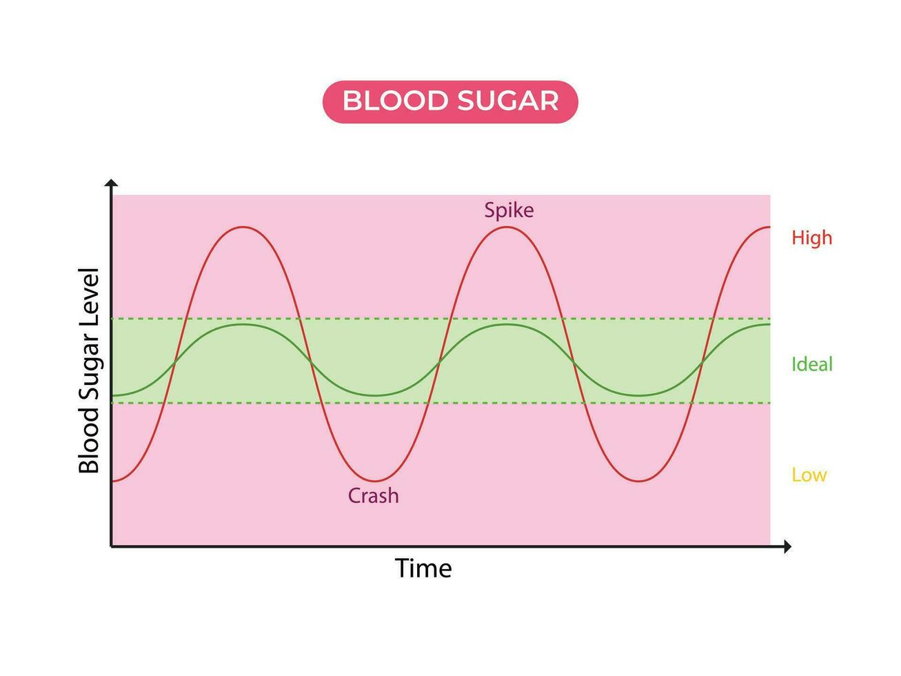 Blood sugar balance levels, diabetes. Normal or ideal, low and high unstable levels with spike and crush vector