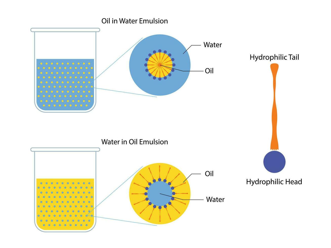 A mixture of two immiscible liquids in tubes, Emulsion oil in water and water in oil vector