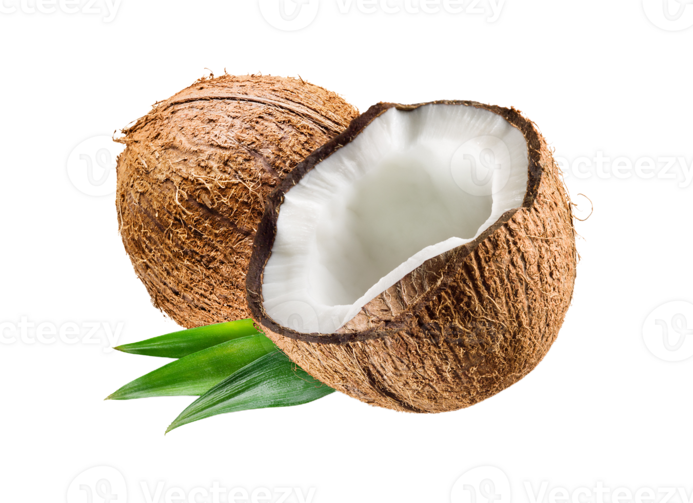 coconut png transparent background 29332298 PNG
