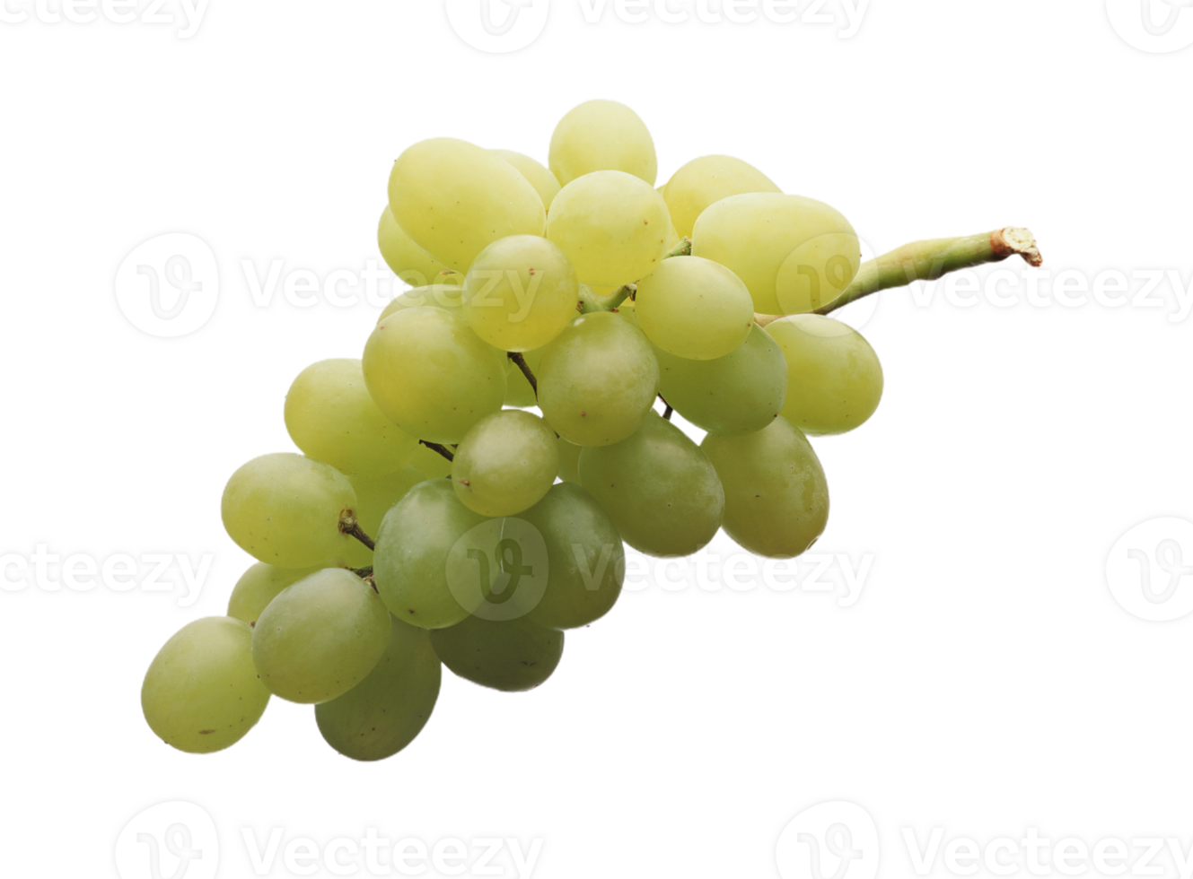 Grapes png transparent background