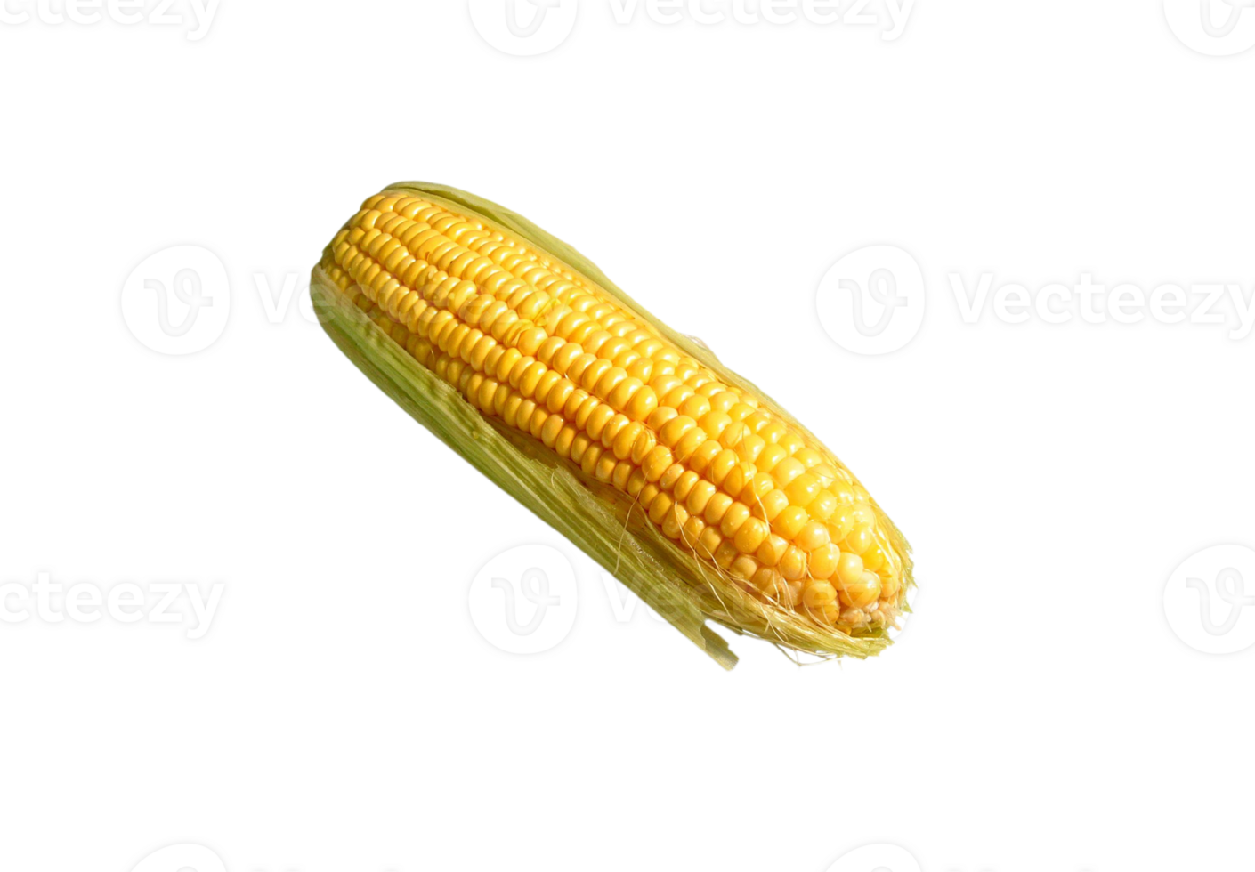 corn png transparent background