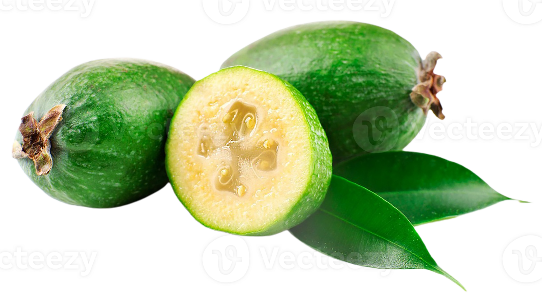 Feijoa png transparent background