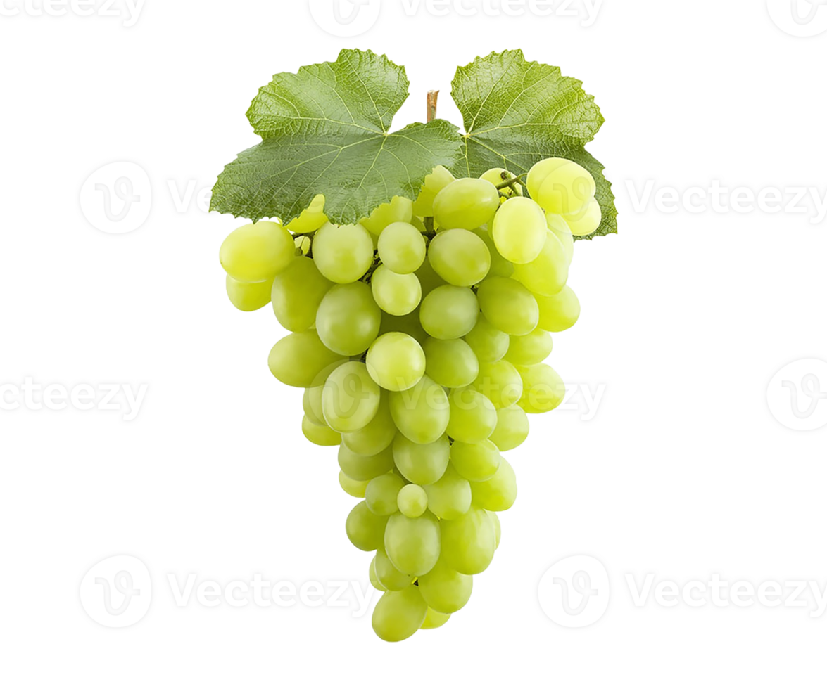 uvas png transparente antecedentes 29332858 PNG