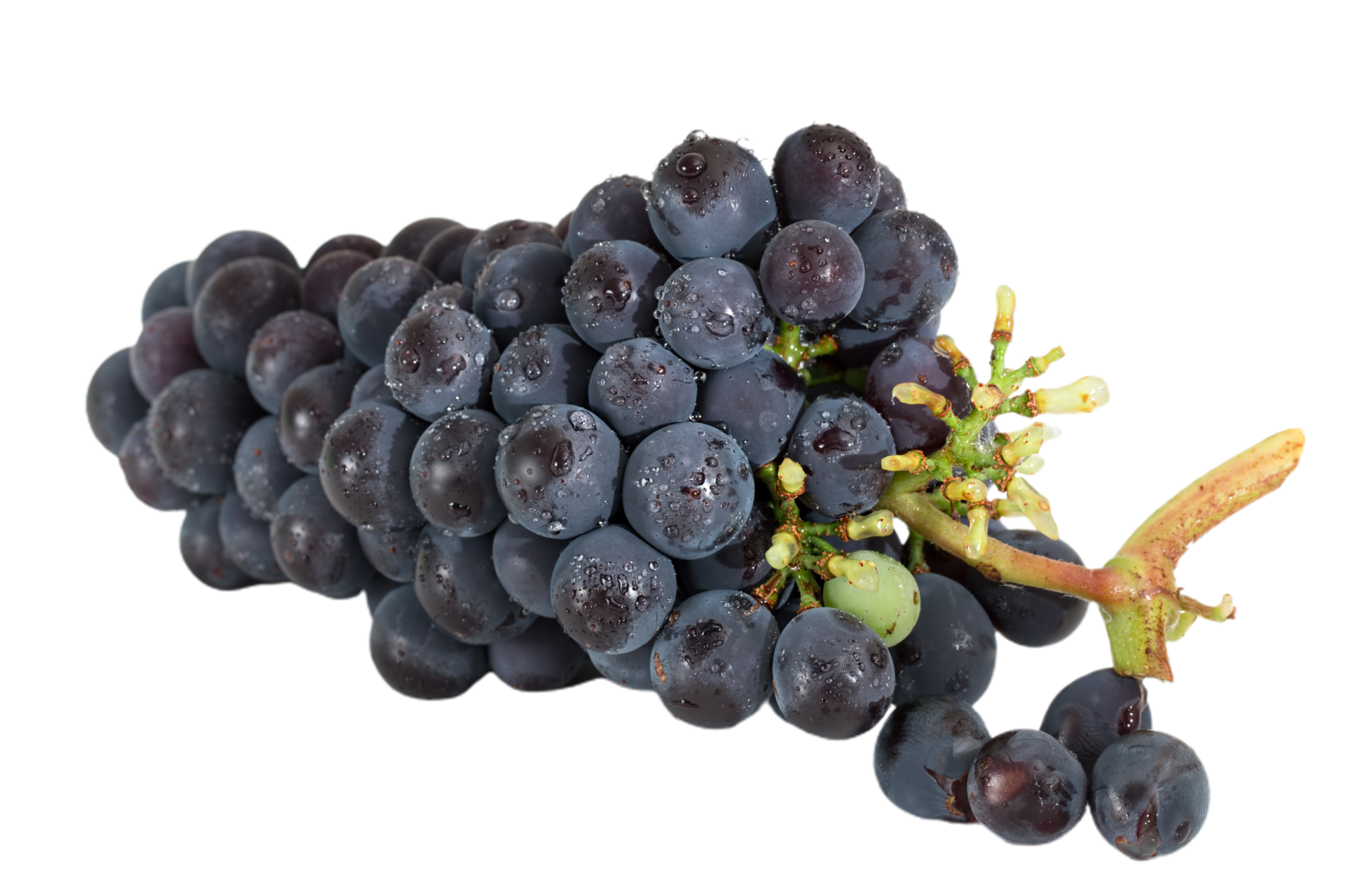 Grapes png transparent background 29332872 PNG