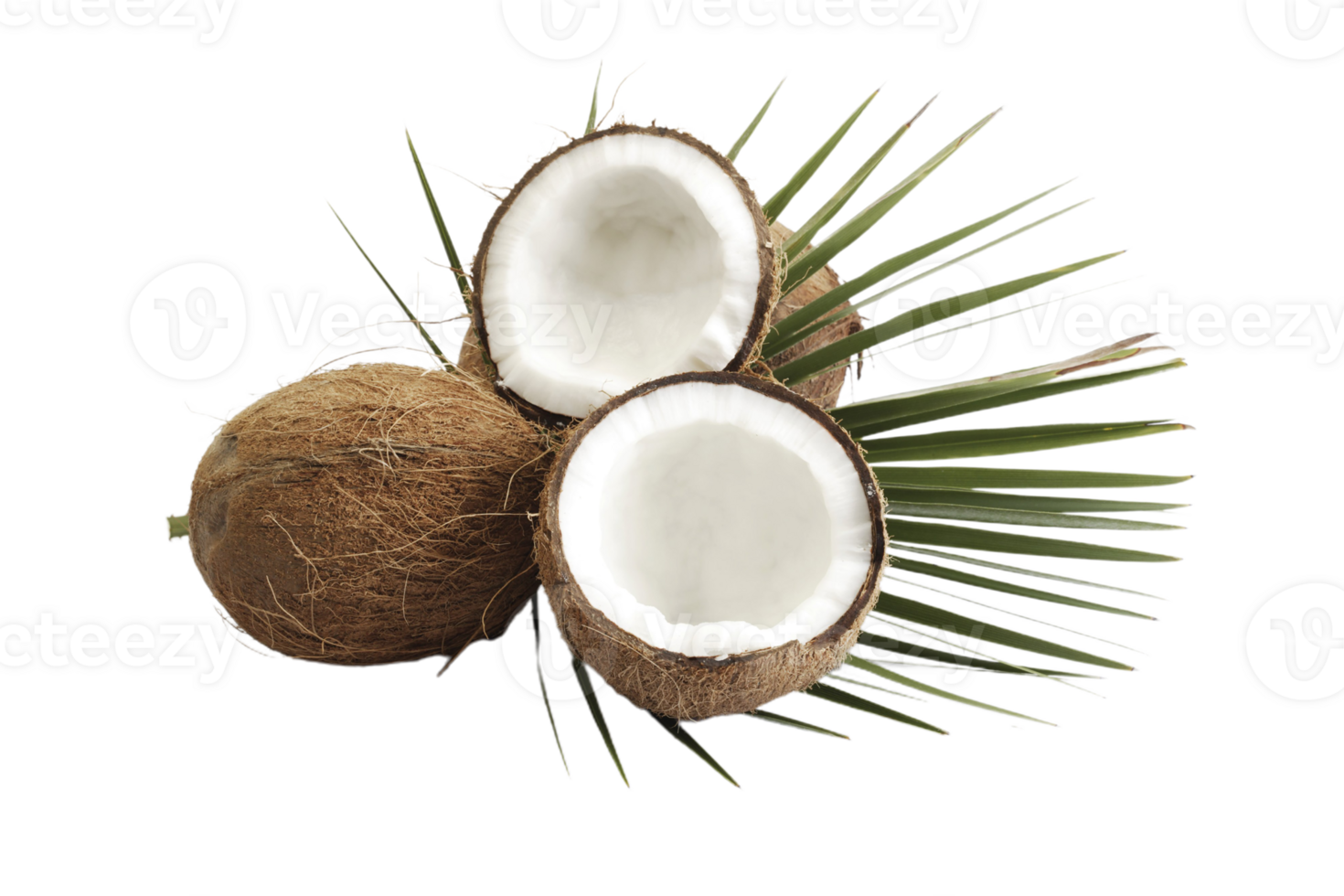 coconut png transparent background