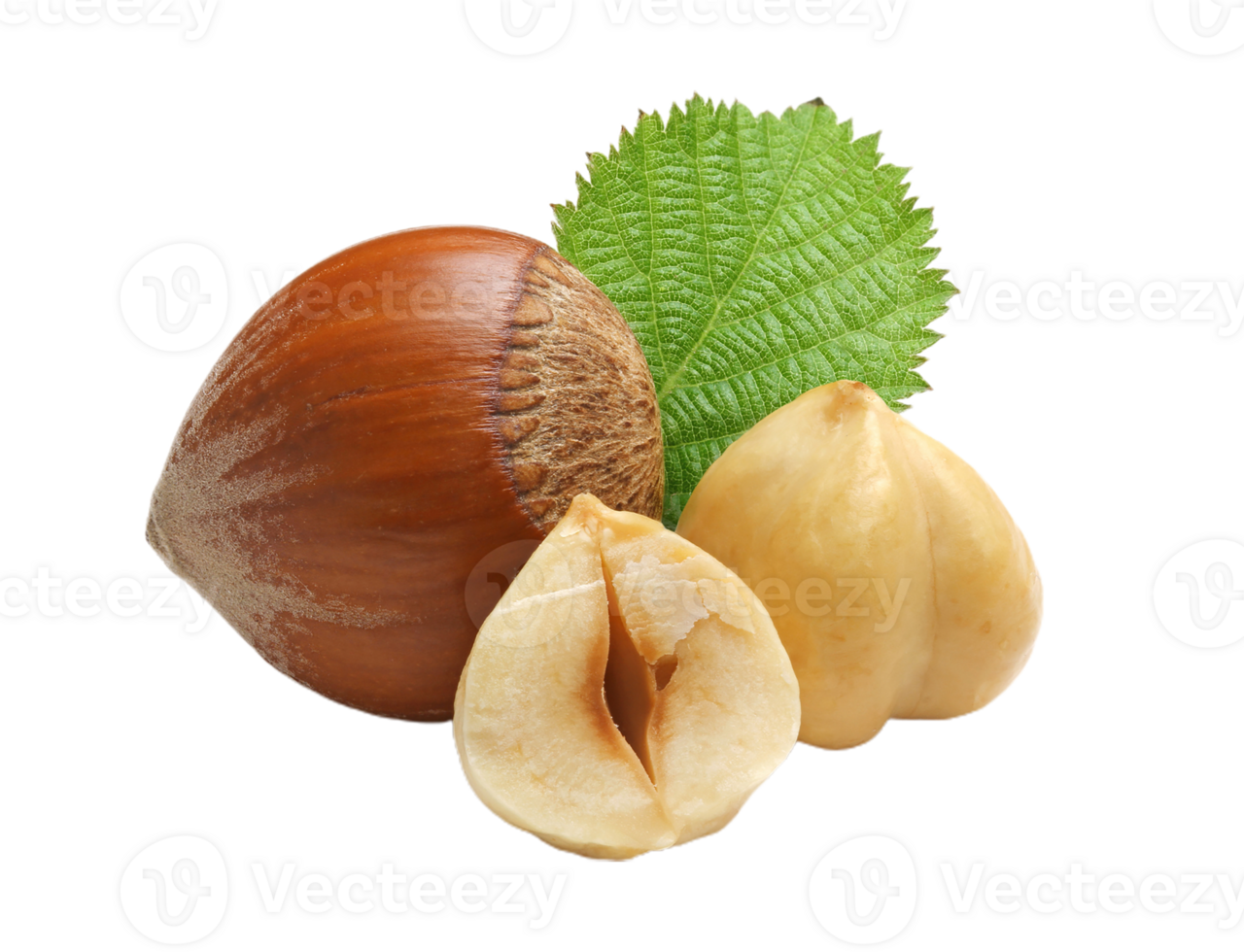 Hazelnut png transparent background