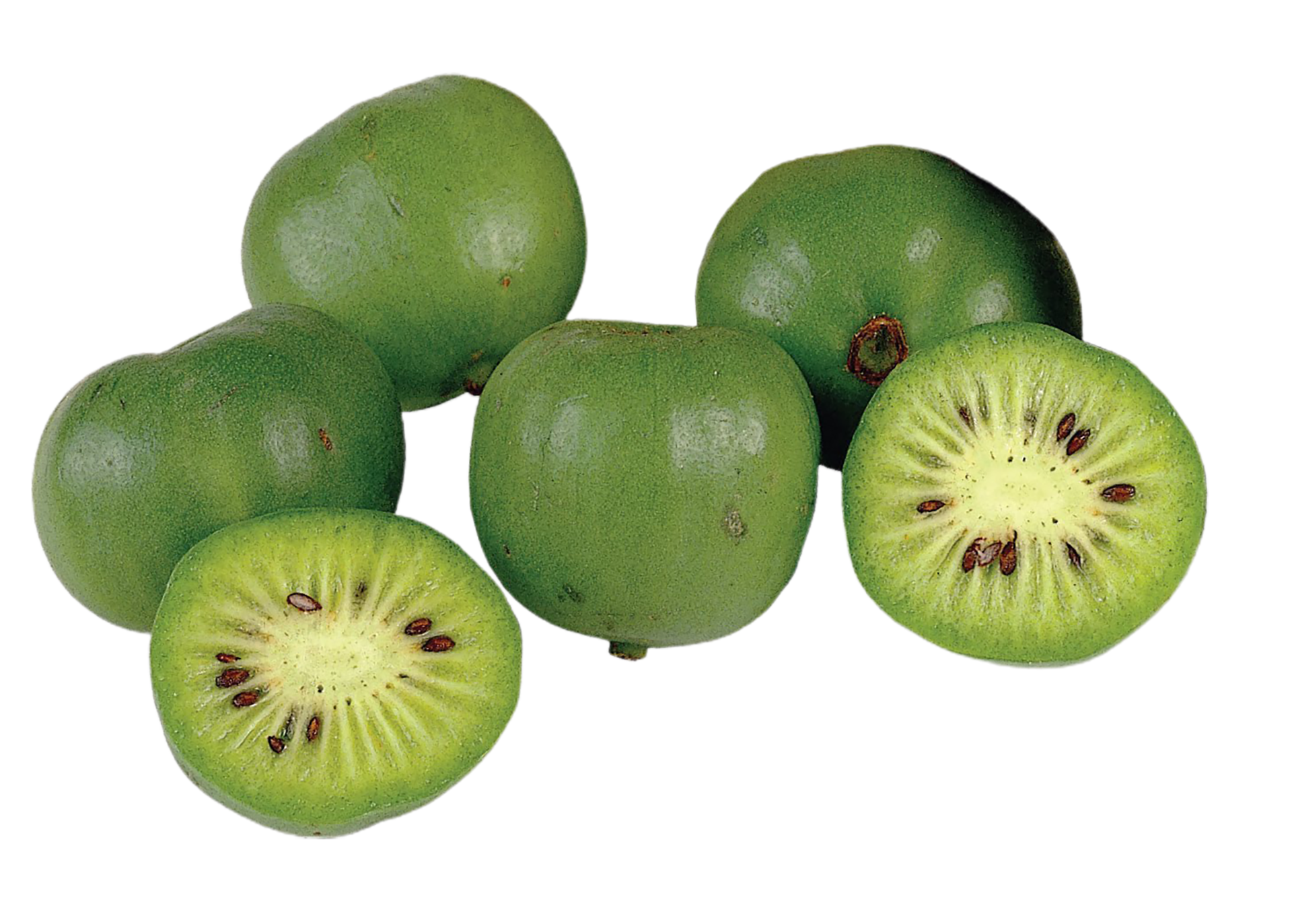 Feijoa png transparent background 29332987 PNG