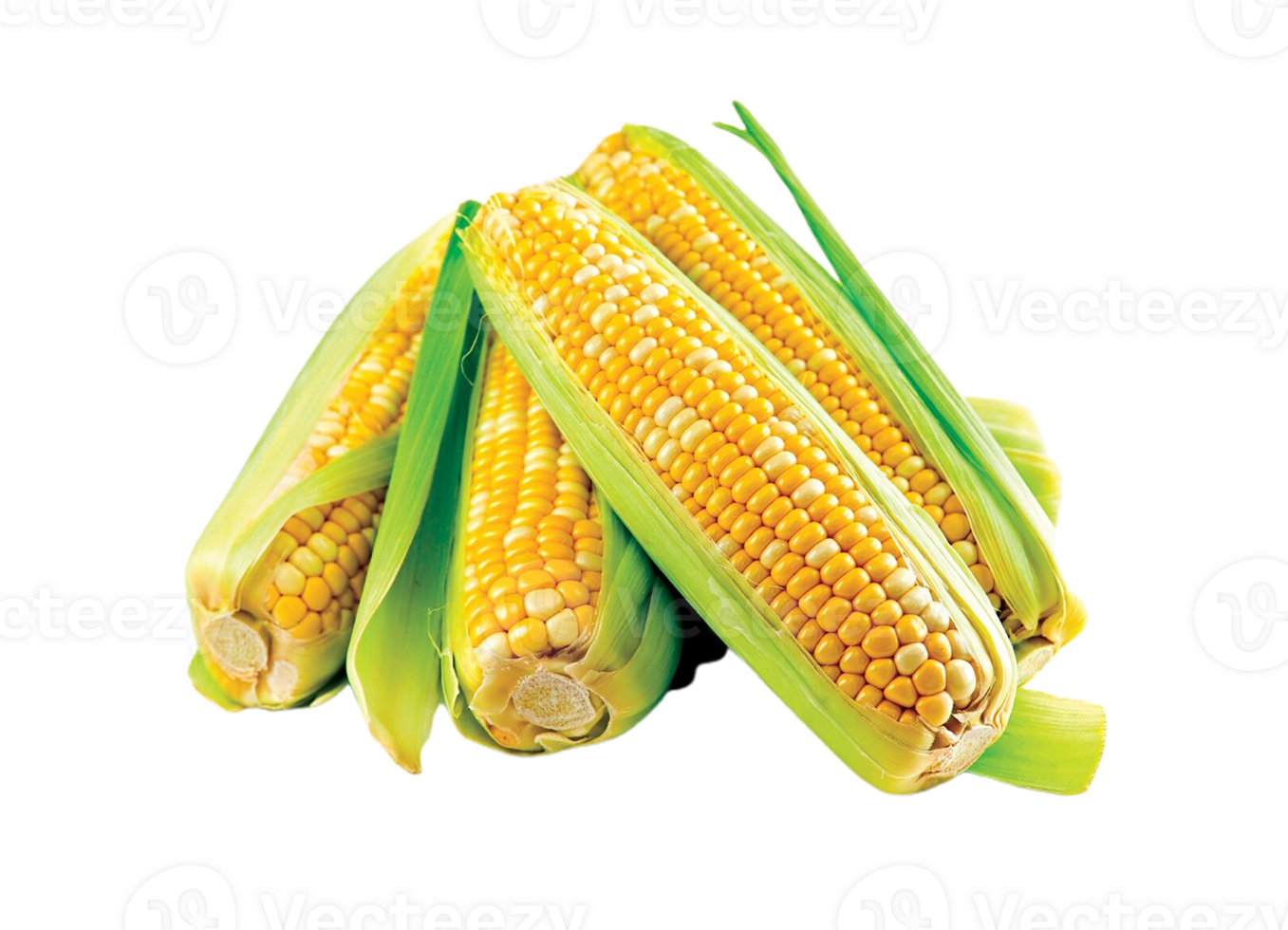 corn png transparent background 29332998 PNG
