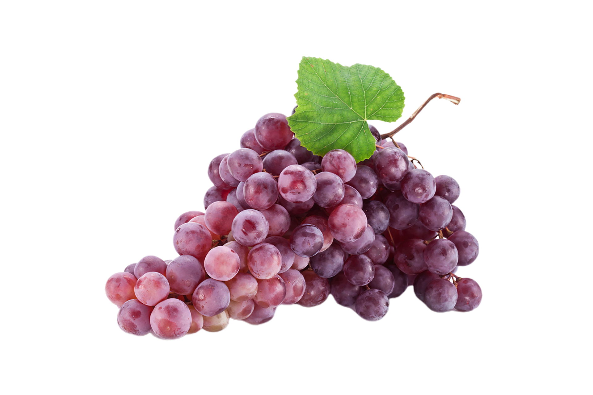 Grapes png transparent background 29332999 PNG