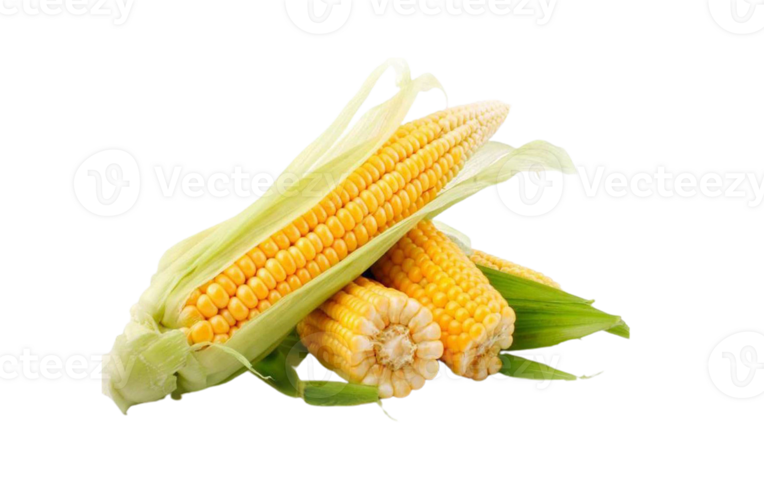corn png transparent background