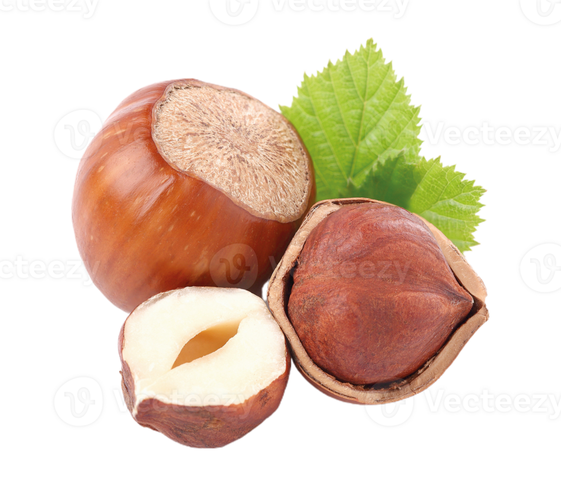 Hazelnut png transparent background