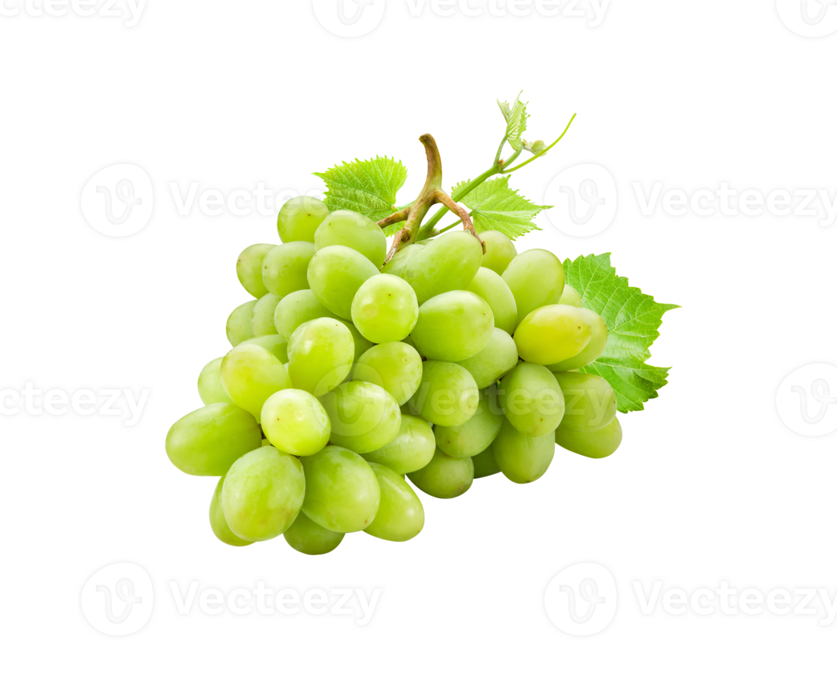 Grapes png transparent background