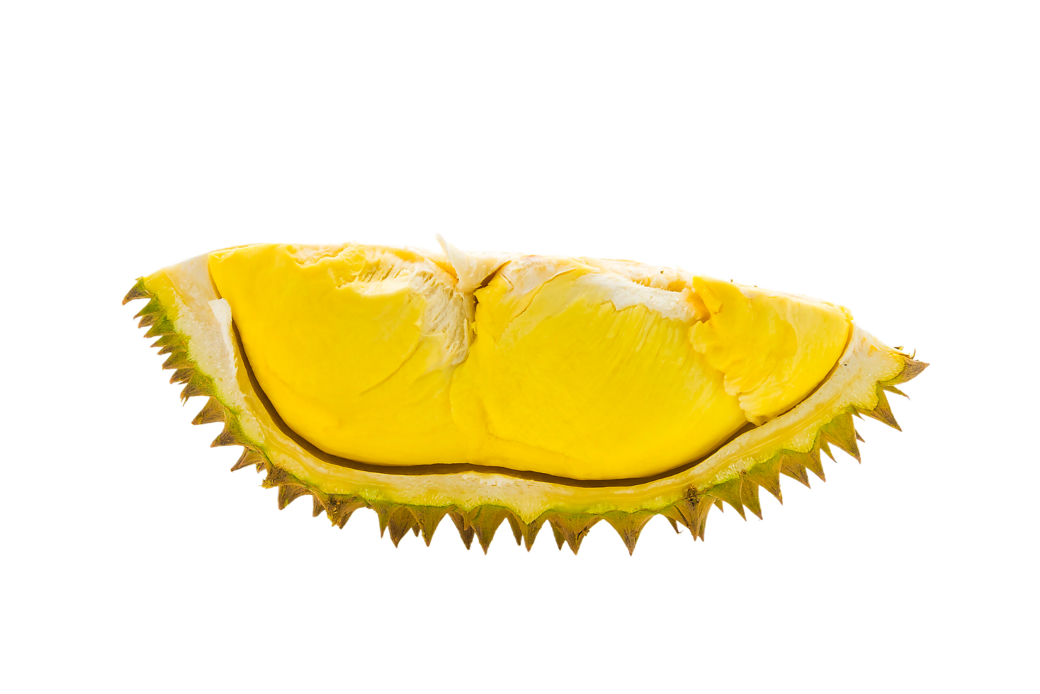 durio zibethinus png transparent background