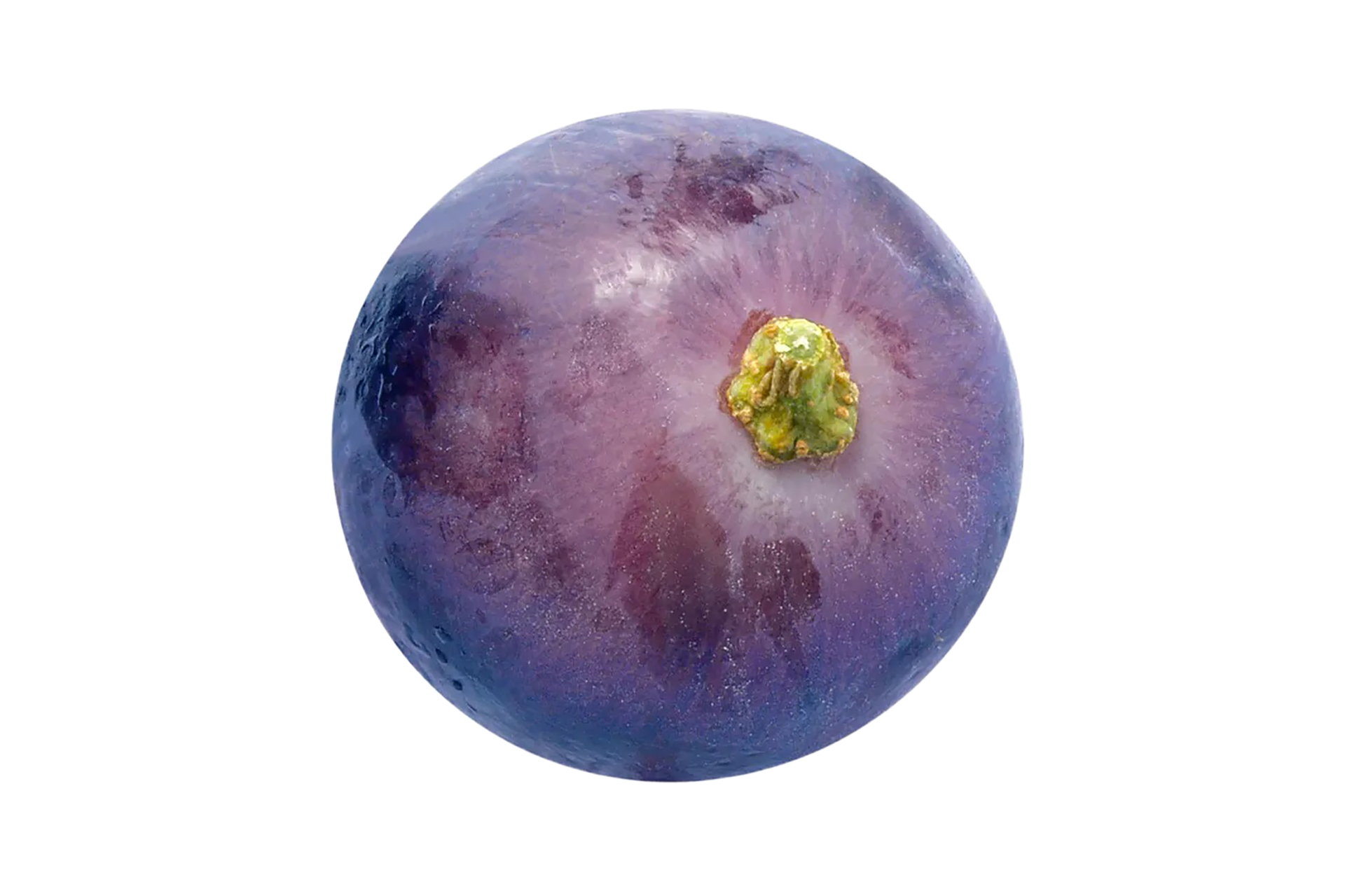 Grapes png transparent background 29333233 PNG