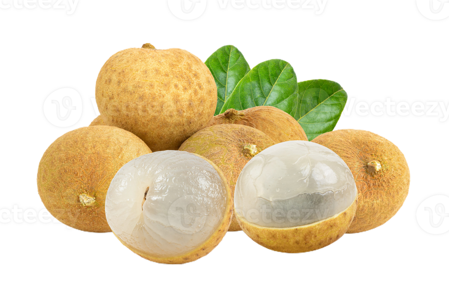 longan png transparent background