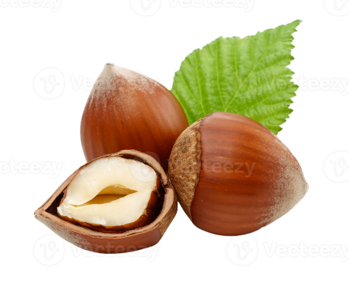 Hazelnut png transparent background